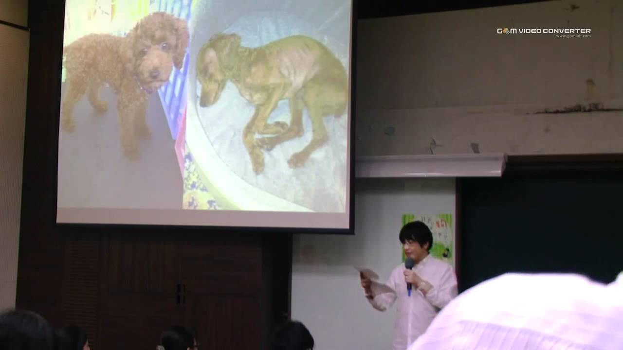 戴更基醫師2012台灣校園巡迴講座（台大場）5