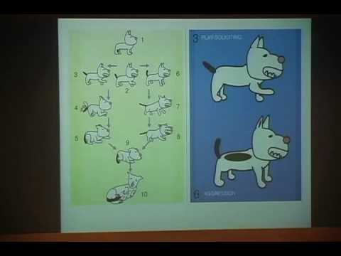 戴更基醫師動物行為系列演講20100704台中科博館12