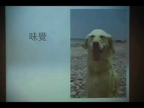 戴更基醫師動物行為系列演講20100704台中科博館2