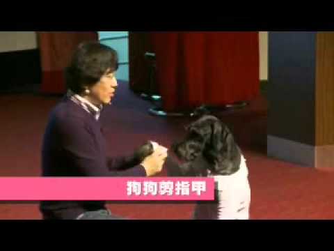狗狗心事免費公益講座 一月活動精采影片片段
