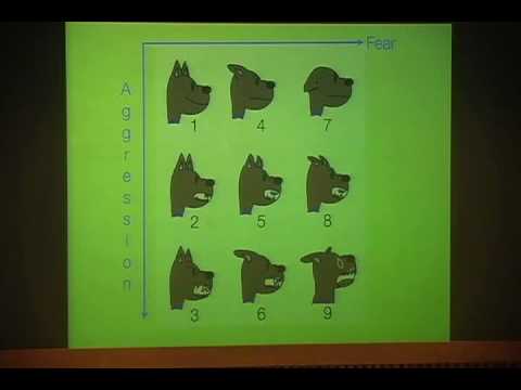 戴更基醫師動物行為系列演講20100704台中科博館10