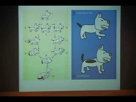 戴更基醫師動物行為系列演講20100704台中科博館11