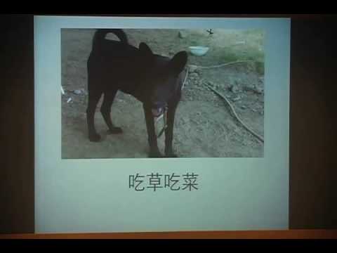 戴更基醫師動物行為系列演講20100704台中科博館4
