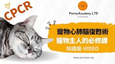 貓狗心肺腦復甦術CPCR知識篇-錄播課
