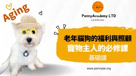 老年貓狗的照護基礎課錄播課