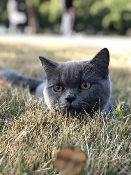 Img 0589拷貝 Img 0589拷貝